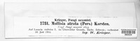 Pyrenopeziza atrata image
